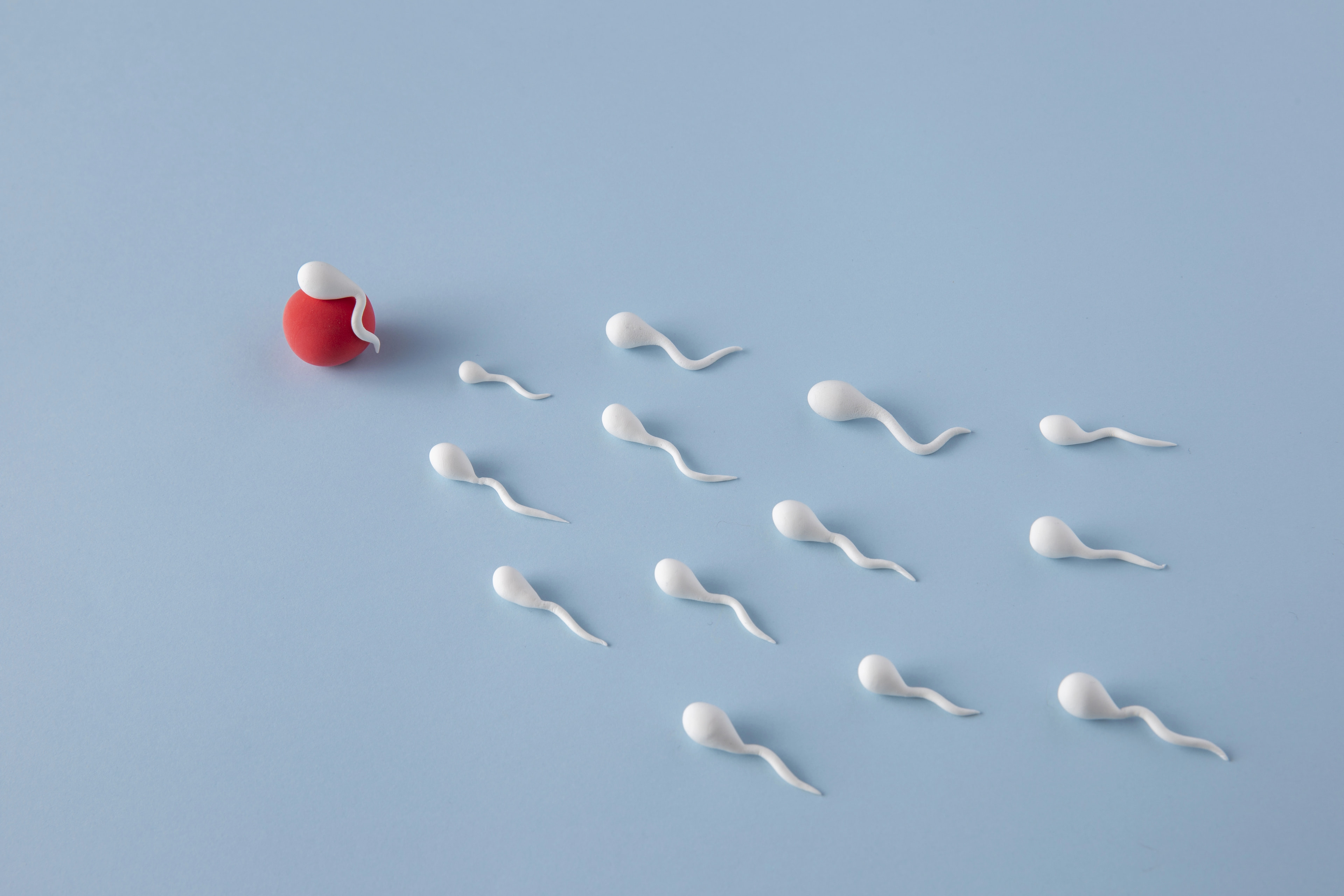 Fertilización In Vitro y Donación de Esperma en EE.UU.: Costos y Proceso en Español